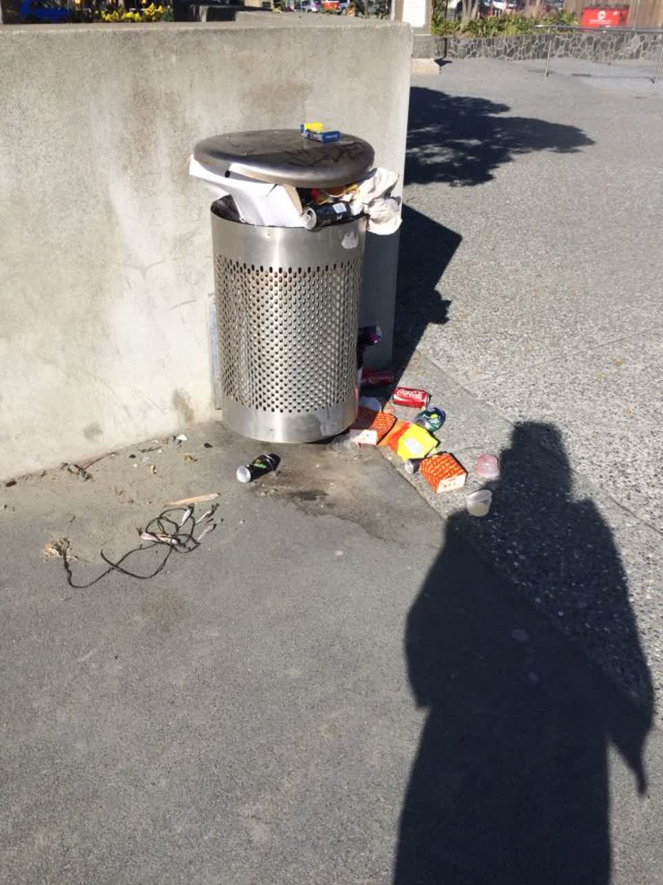 The photograph attached to this rubbish/recycling report