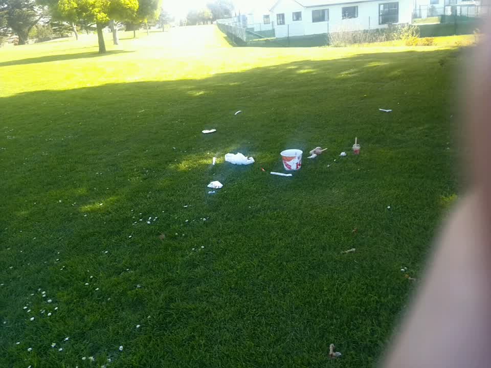 The photograph attached to this rubbish/recycling report