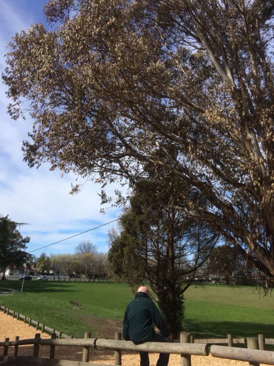 The photograph attached to this parks report