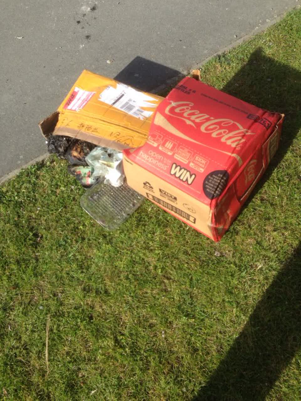 The photograph attached to this rubbish/recycling report