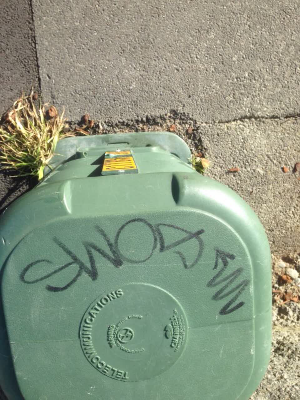 The photograph attached to this graffiti report