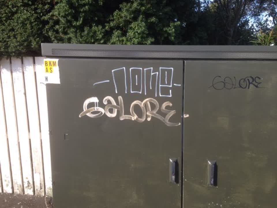 The photograph attached to this graffiti report