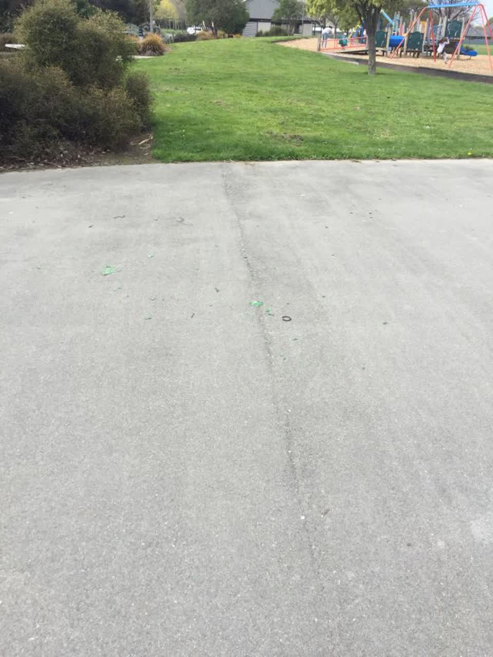 The photograph attached to this parks report