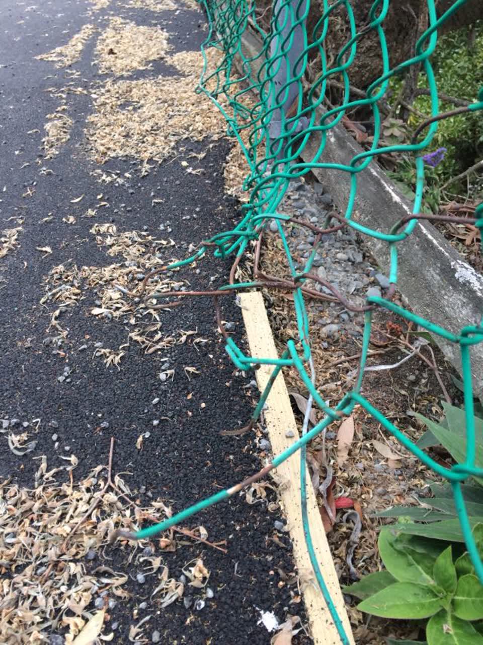 The photograph attached to this roading/streets report