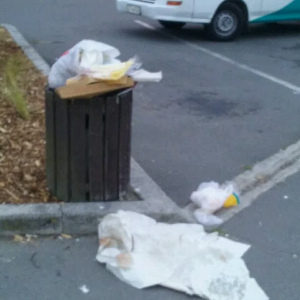 The photograph attached to this rubbish/recycling report