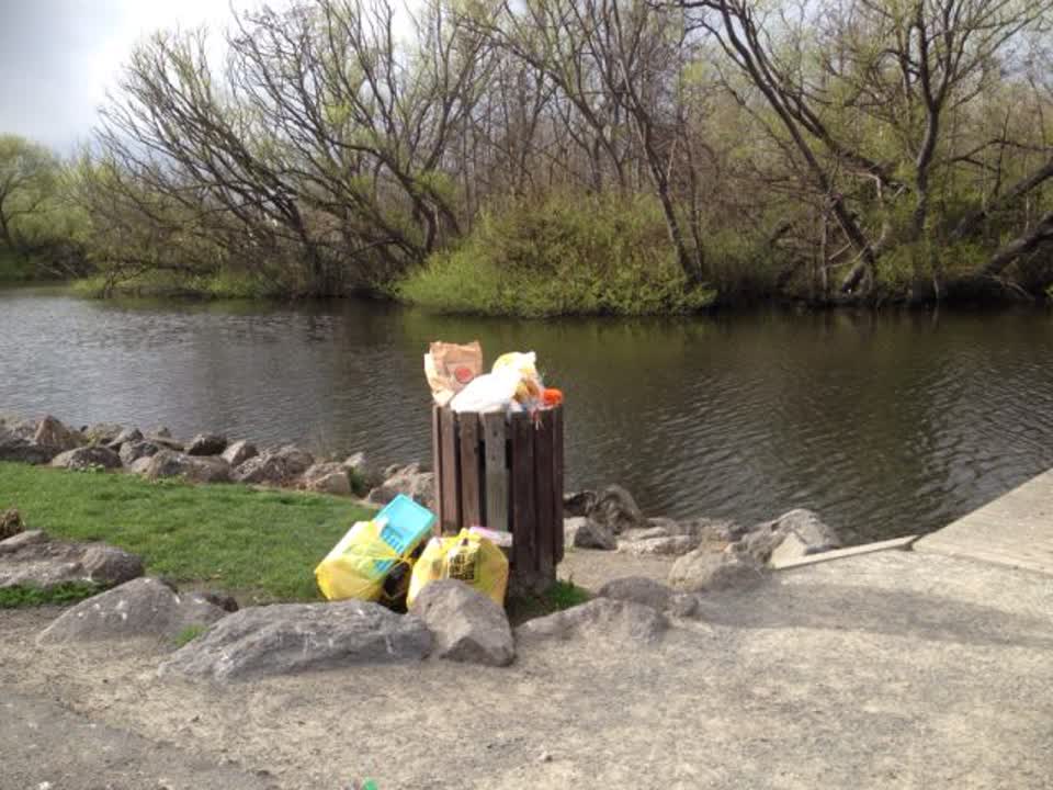 The photograph attached to this rubbish/recycling report