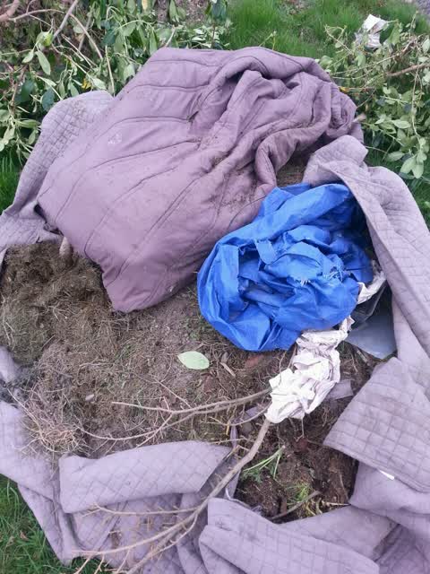 Rubbish/Recycling, a report photo