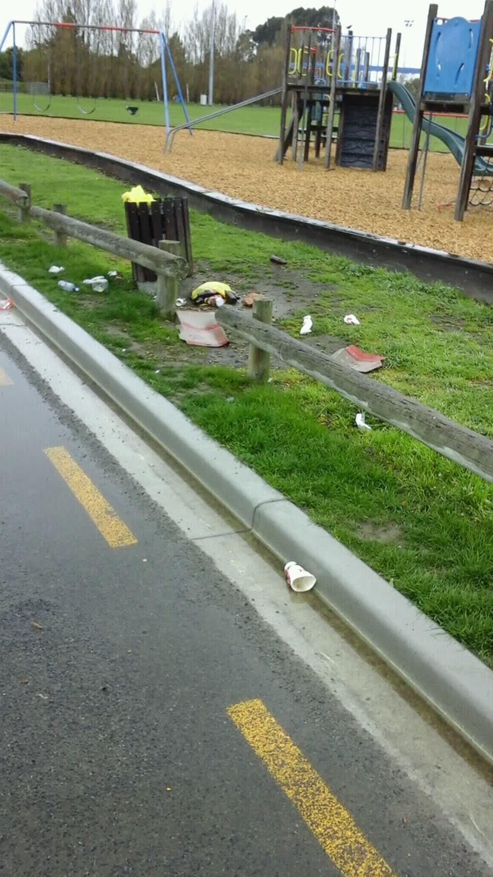 The photograph attached to this parks report