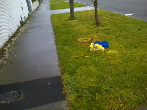 Rubbish/Recycling, a report photo