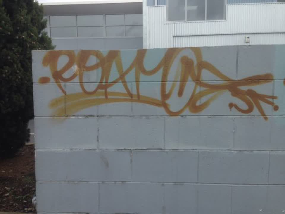 The photograph attached to this graffiti report