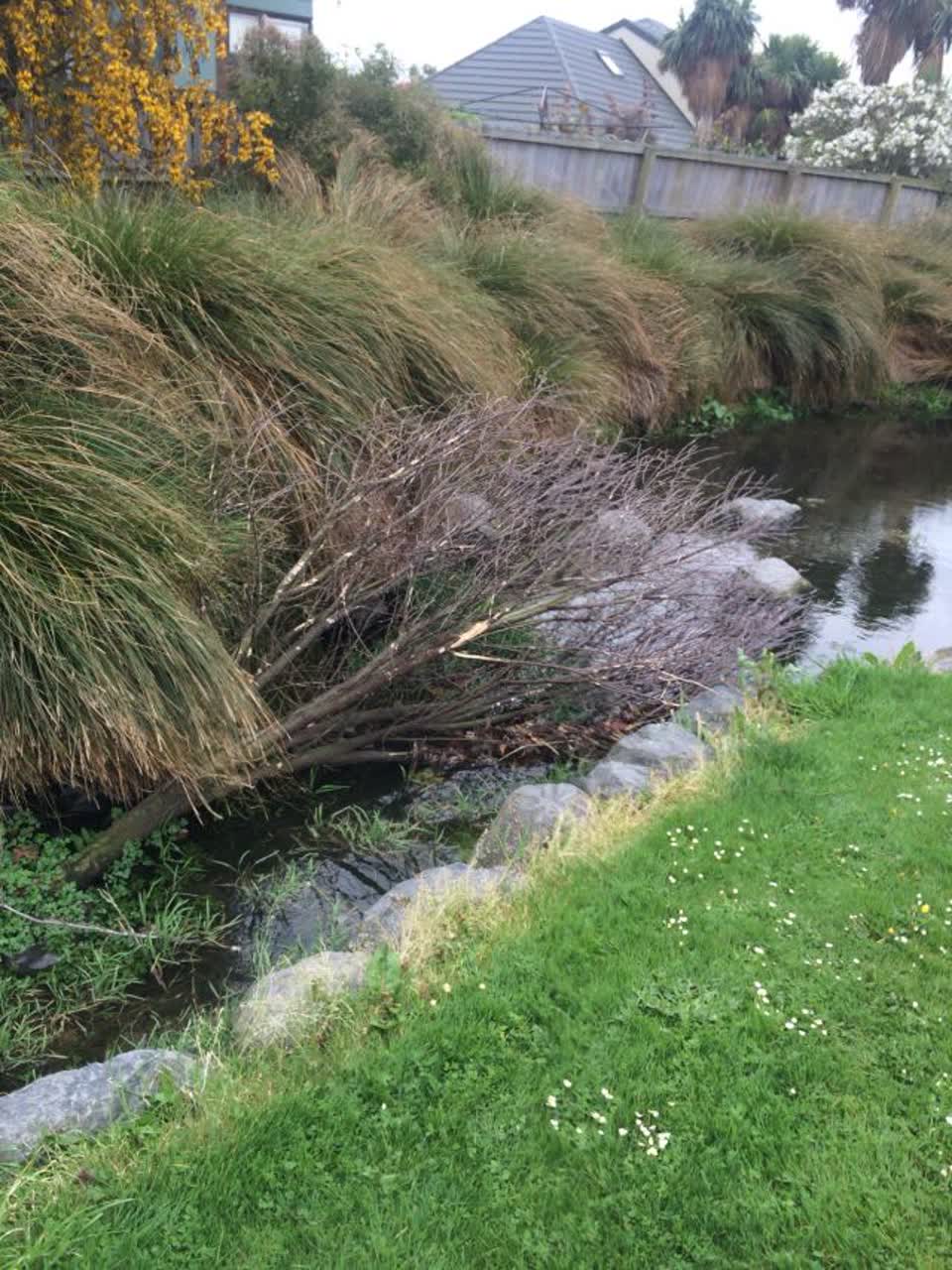 The photograph attached to this parks report