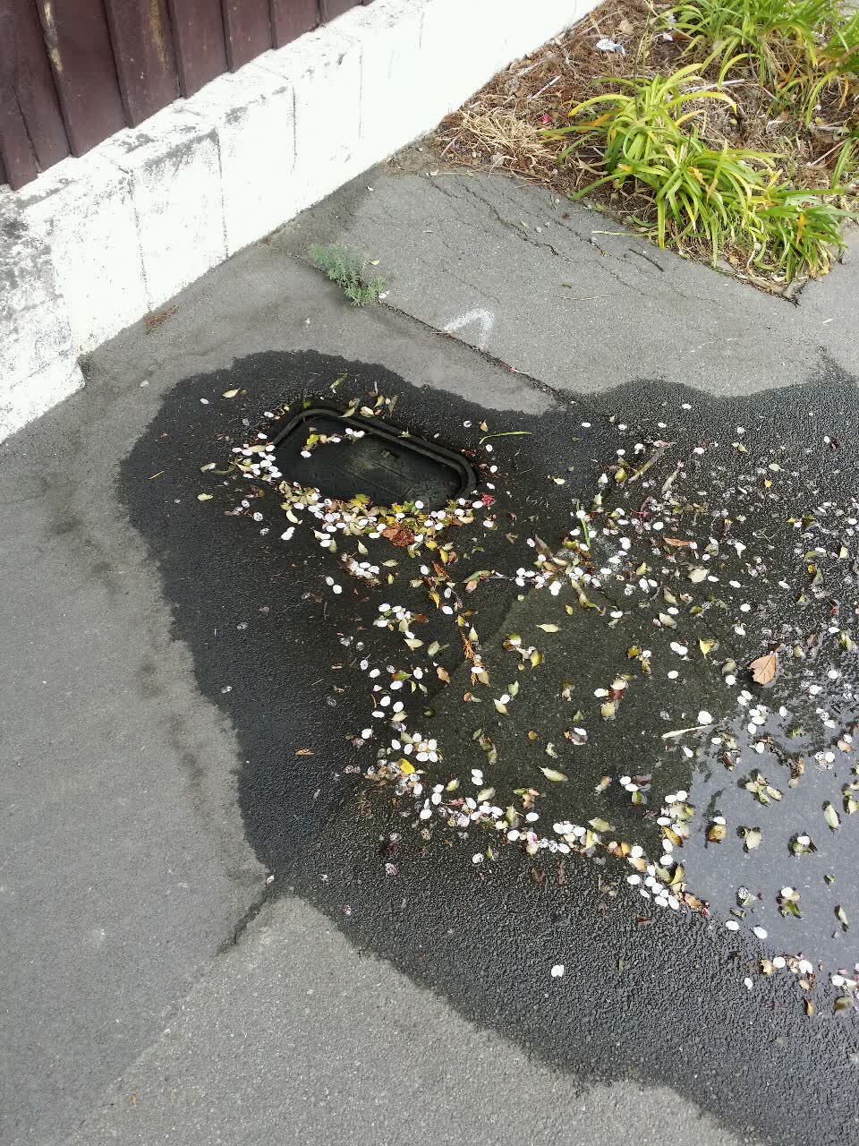 The photograph attached to this water supply report