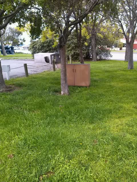 Rubbish/Recycling, a report photo