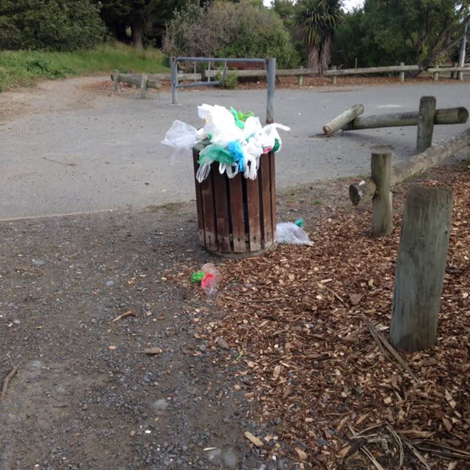 The photograph attached to this rubbish/recycling report