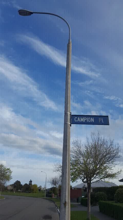 Roading/Streets, a report photo