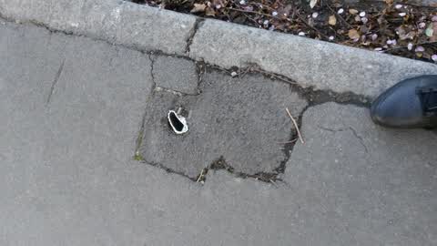 Parks, a report photo