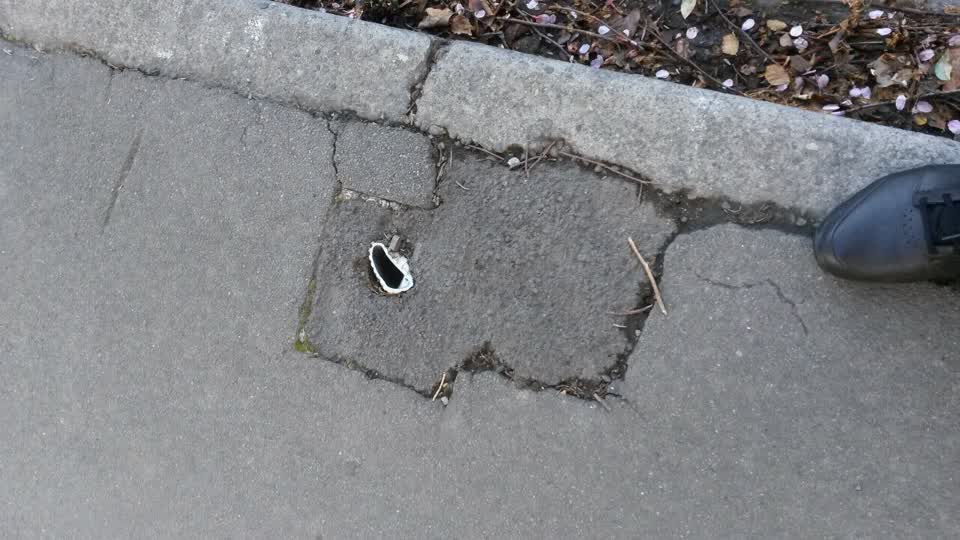 The photograph attached to this parks report