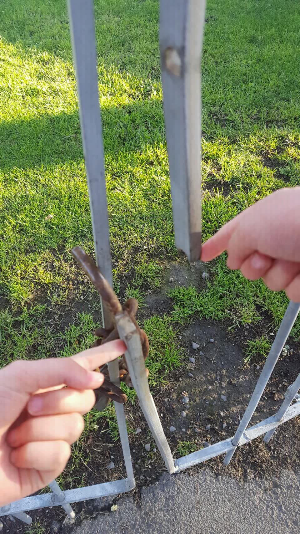 The photograph attached to this parks report