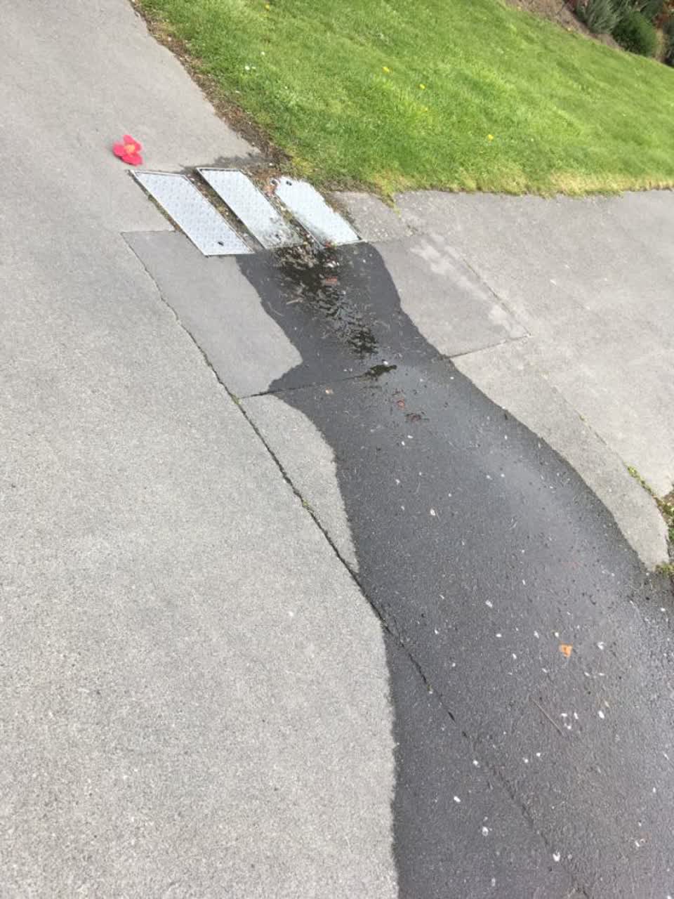 The photograph attached to this water supply report
