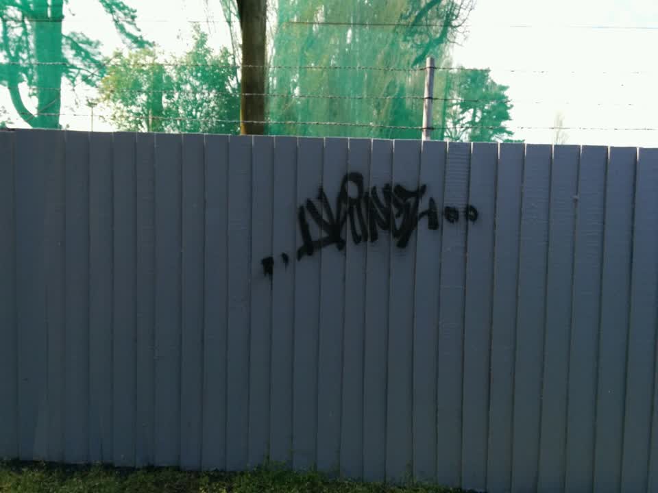 The photograph attached to this graffiti report