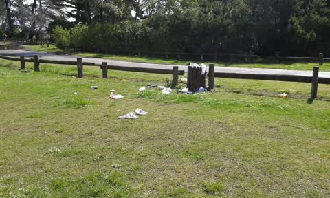 Parks, a report photo