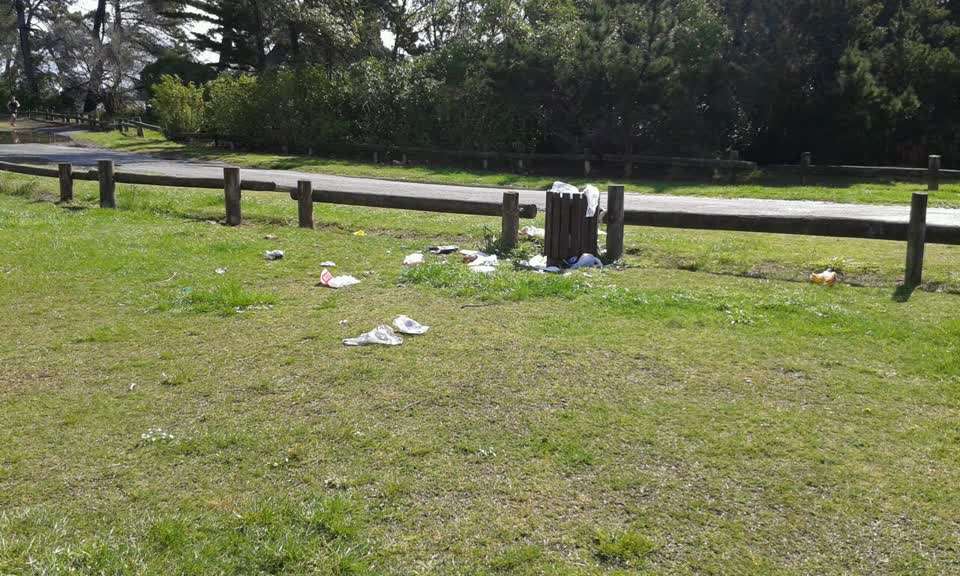 The photograph attached to this parks report
