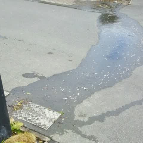 Water Supply, a report photo