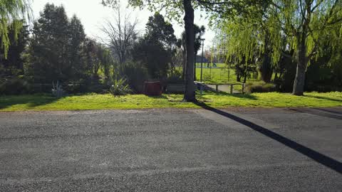 Rubbish/Recycling, a report photo