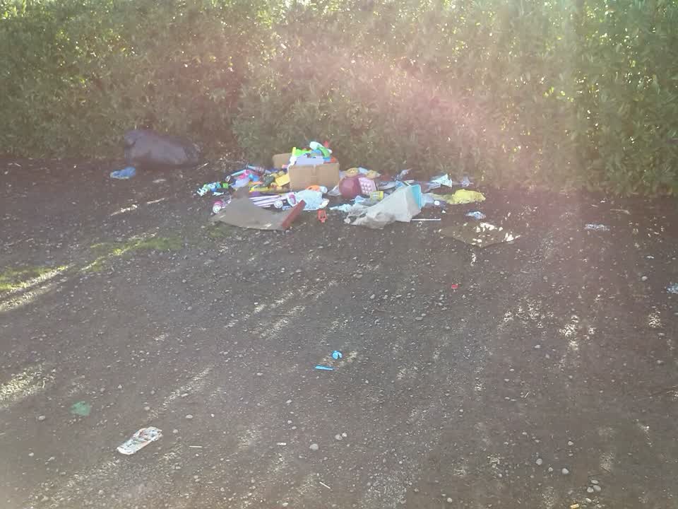 The photograph attached to this rubbish/recycling report