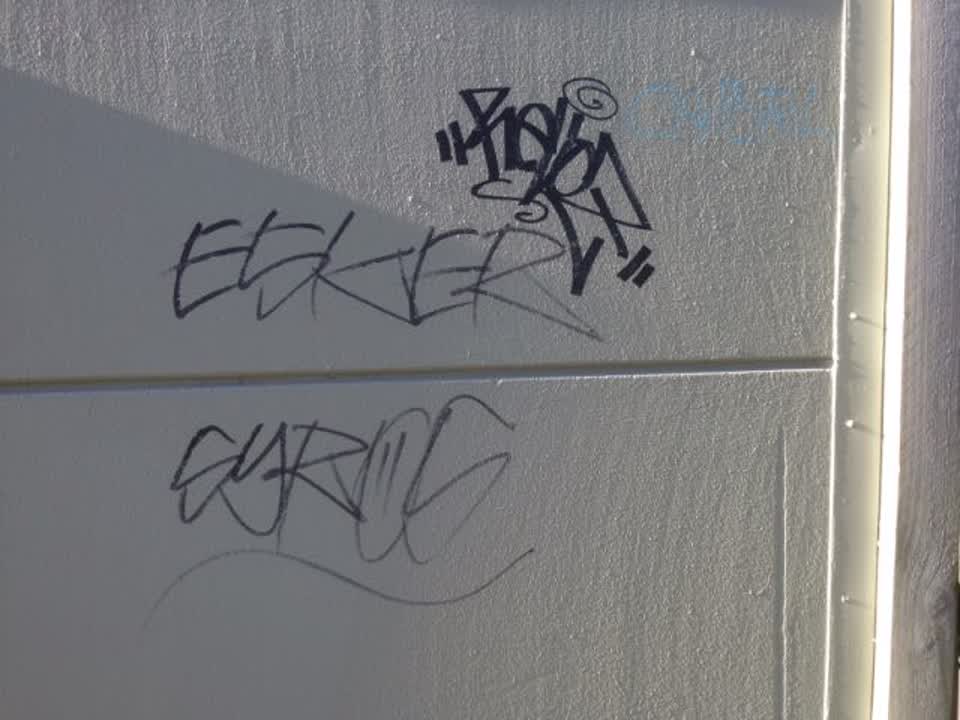The photograph attached to this graffiti report