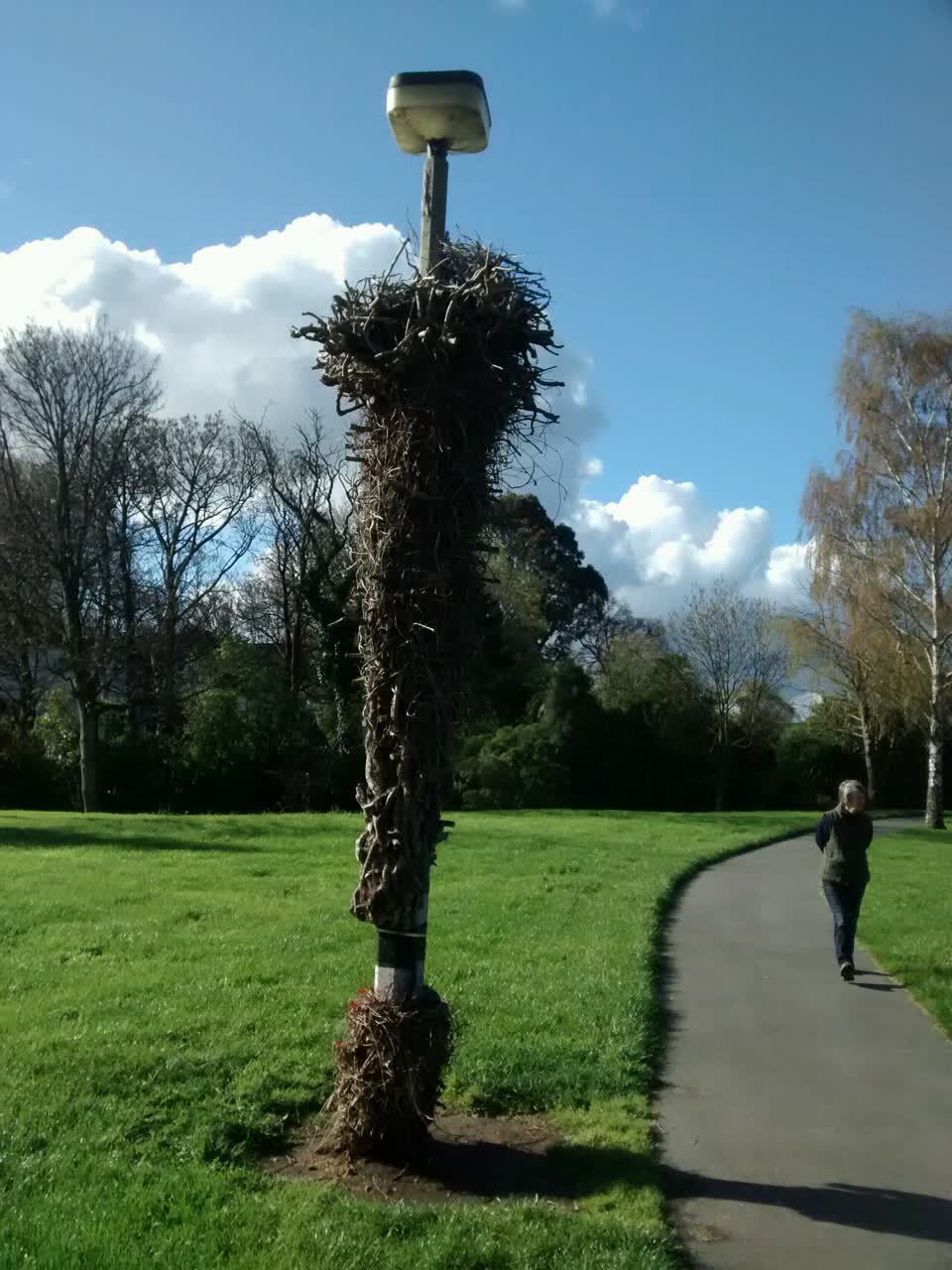 The photograph attached to this parks report