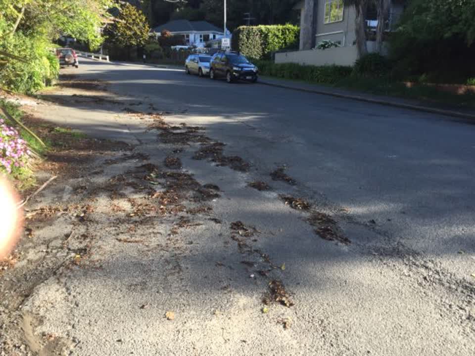 The photograph attached to this roading/streets report