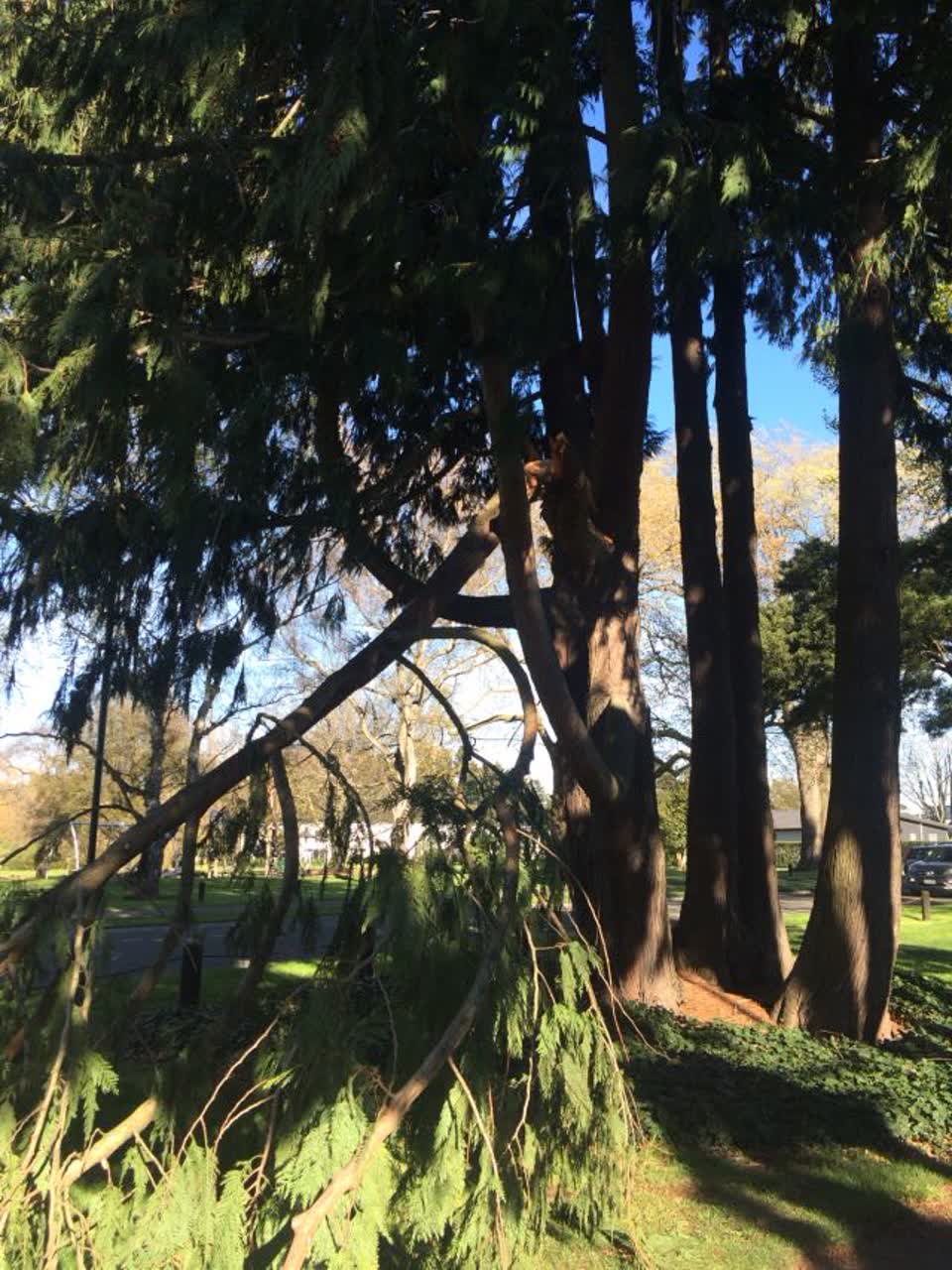 The photograph attached to this parks report