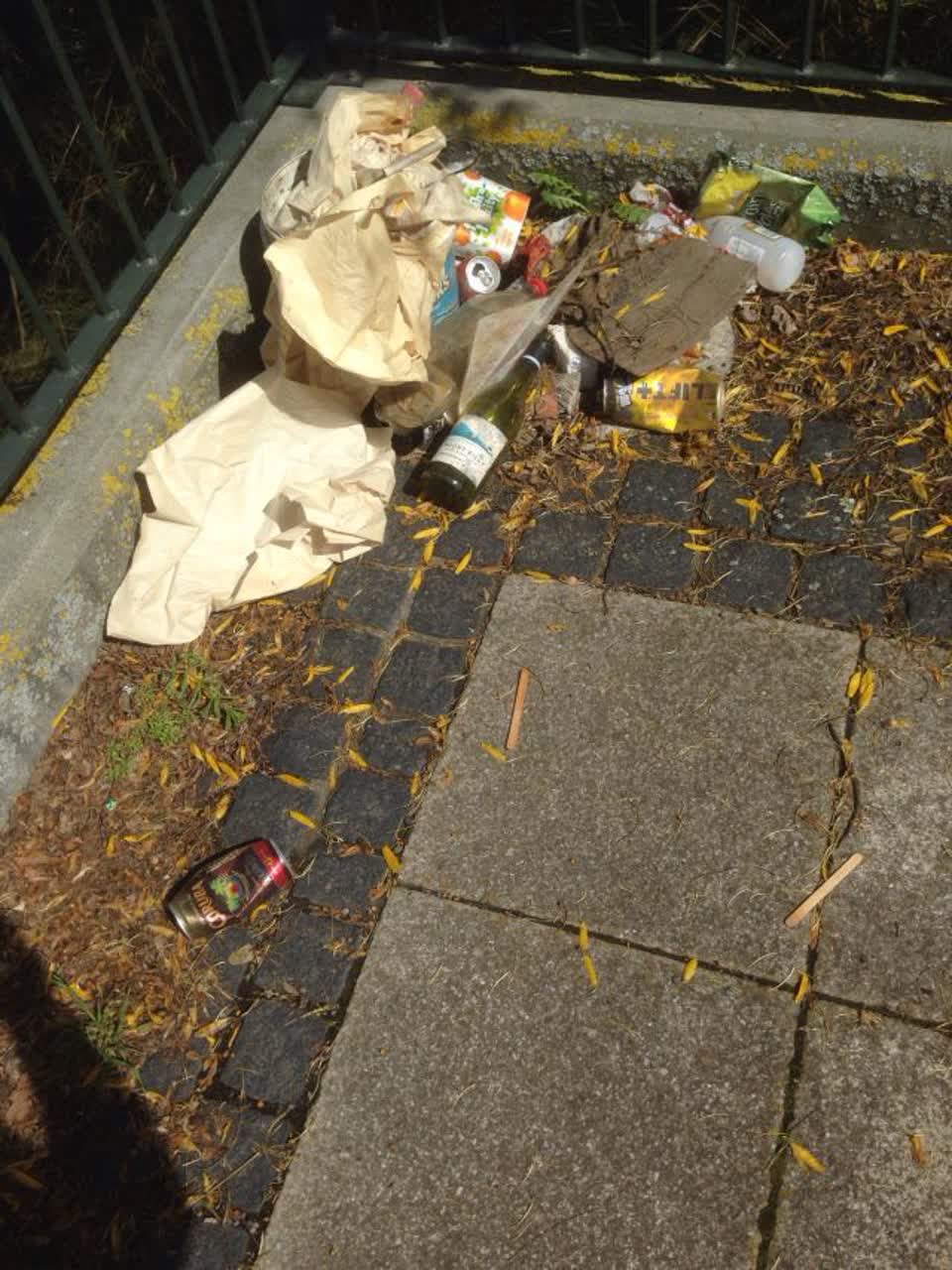 The photograph attached to this rubbish/recycling report