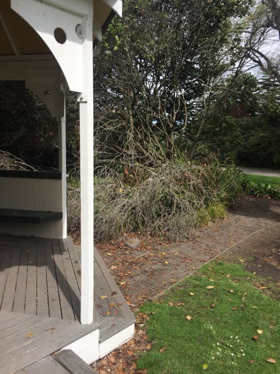 The photograph attached to this parks report