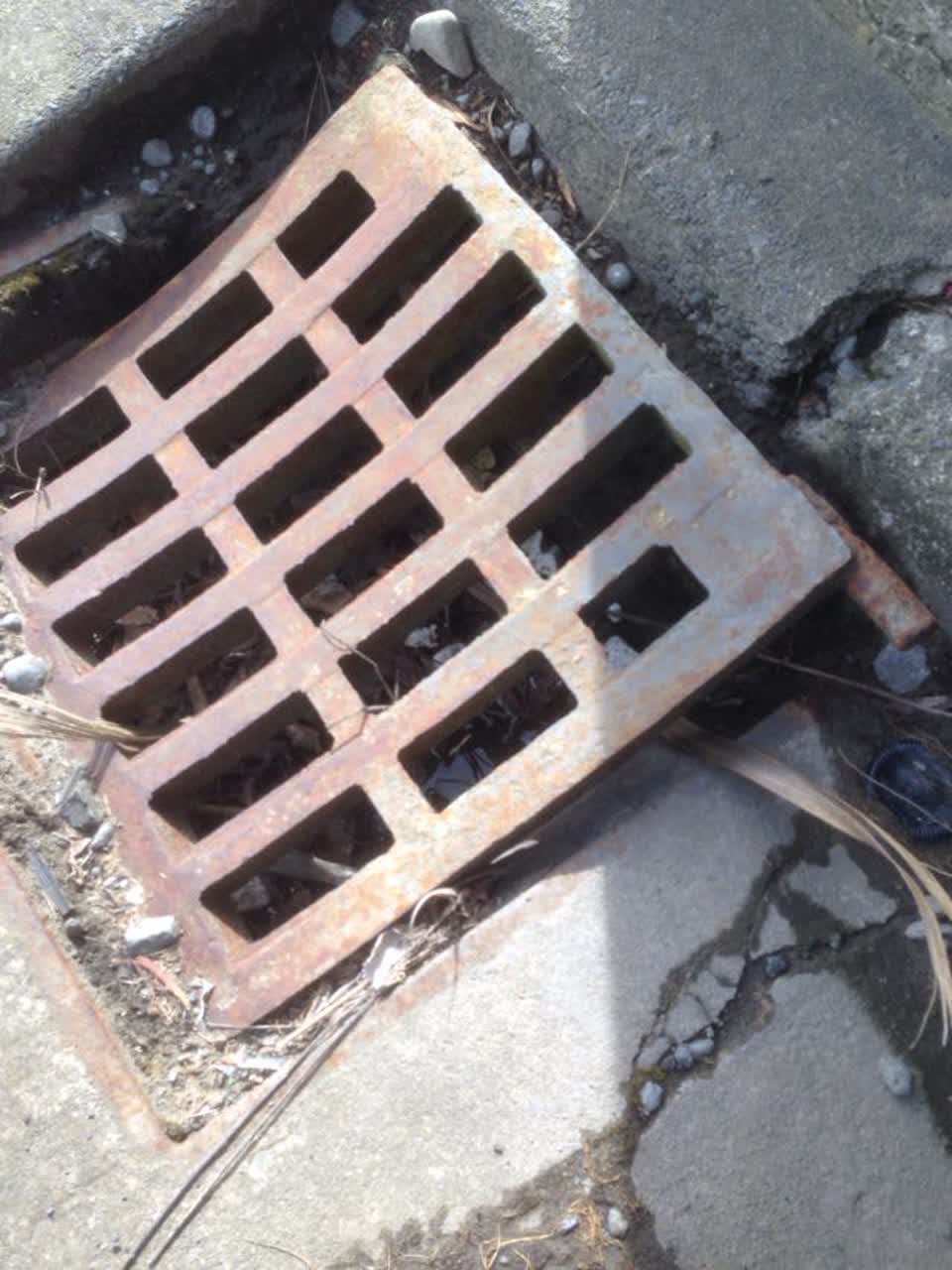 The photograph attached to this roading/streets report