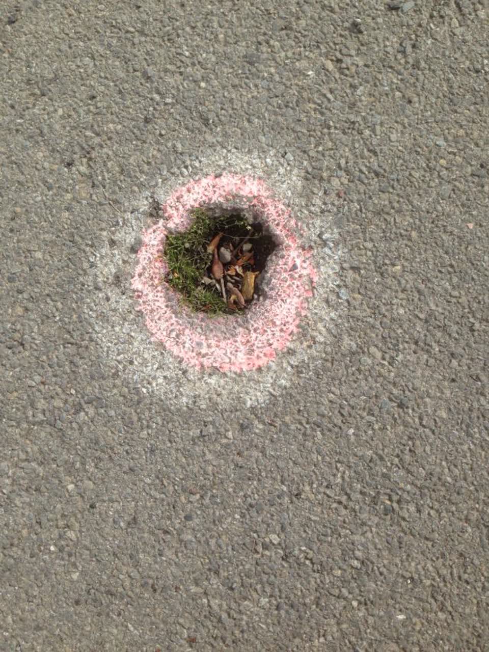 The photograph attached to this roading/streets report