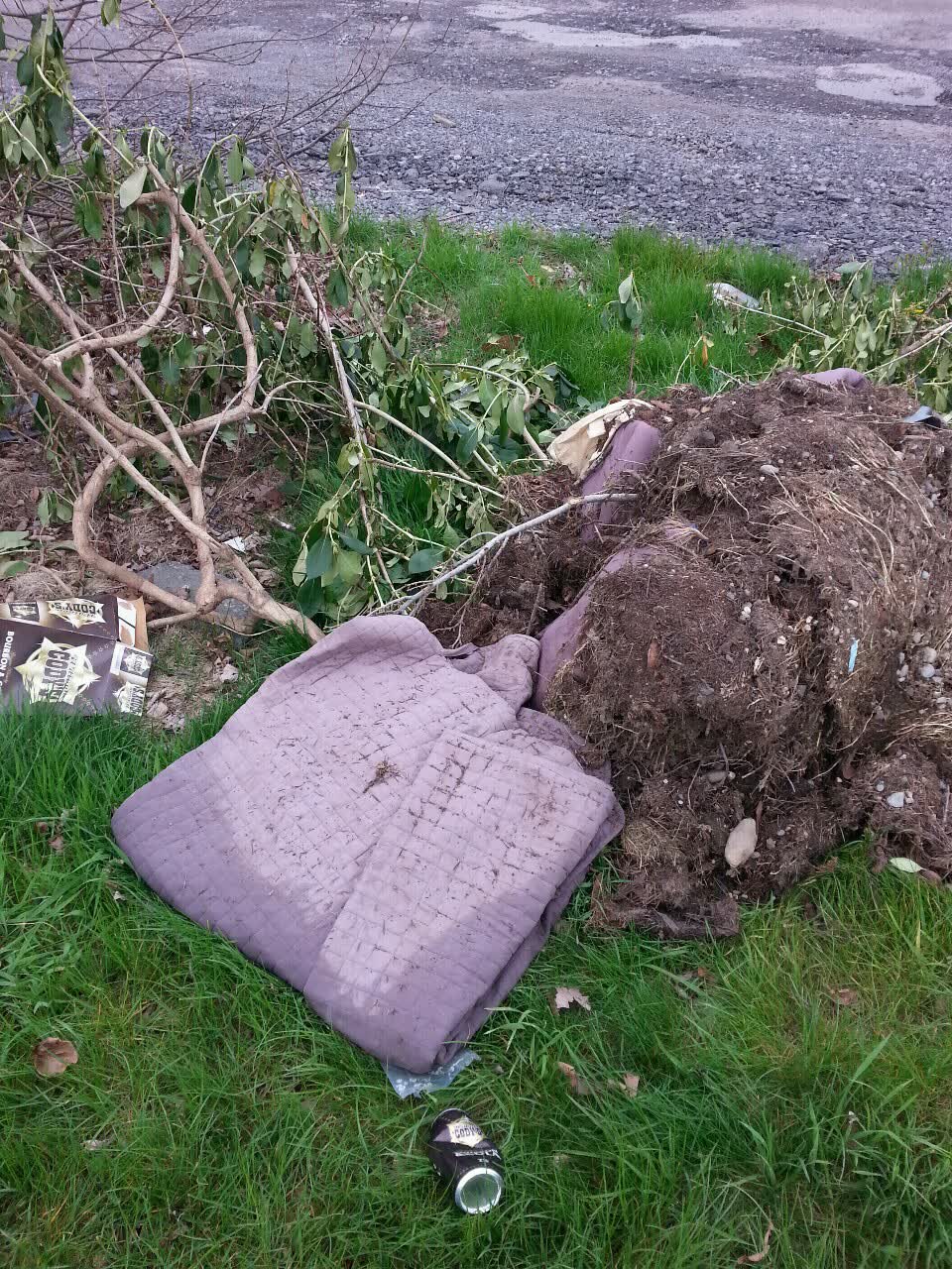 The photograph attached to this rubbish/recycling report