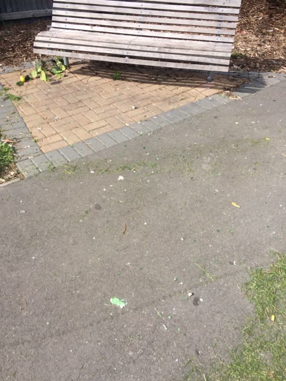 The photograph attached to this parks report