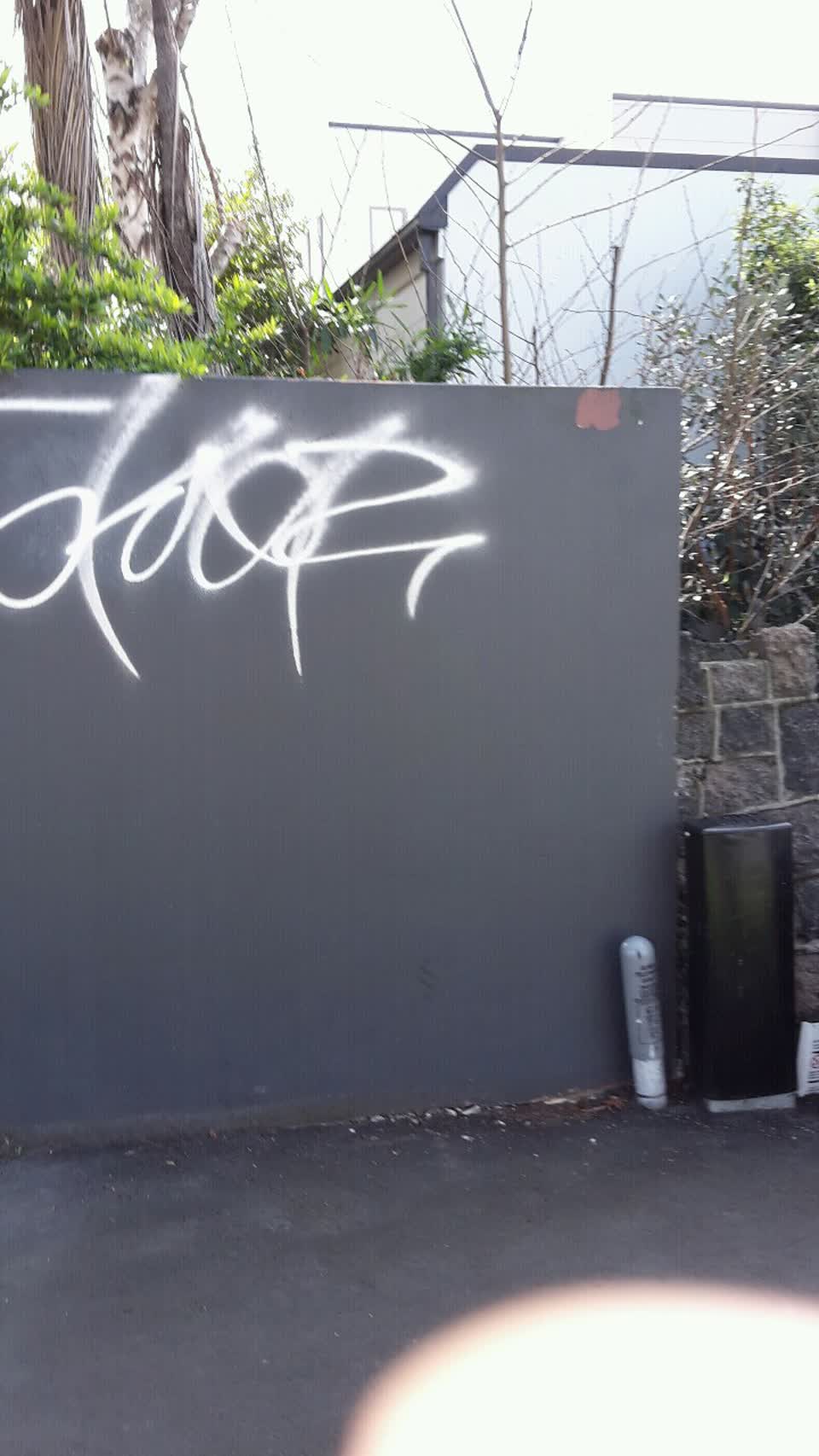 The photograph attached to this graffiti report