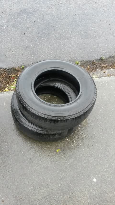 Rubbish/Recycling, a report photo