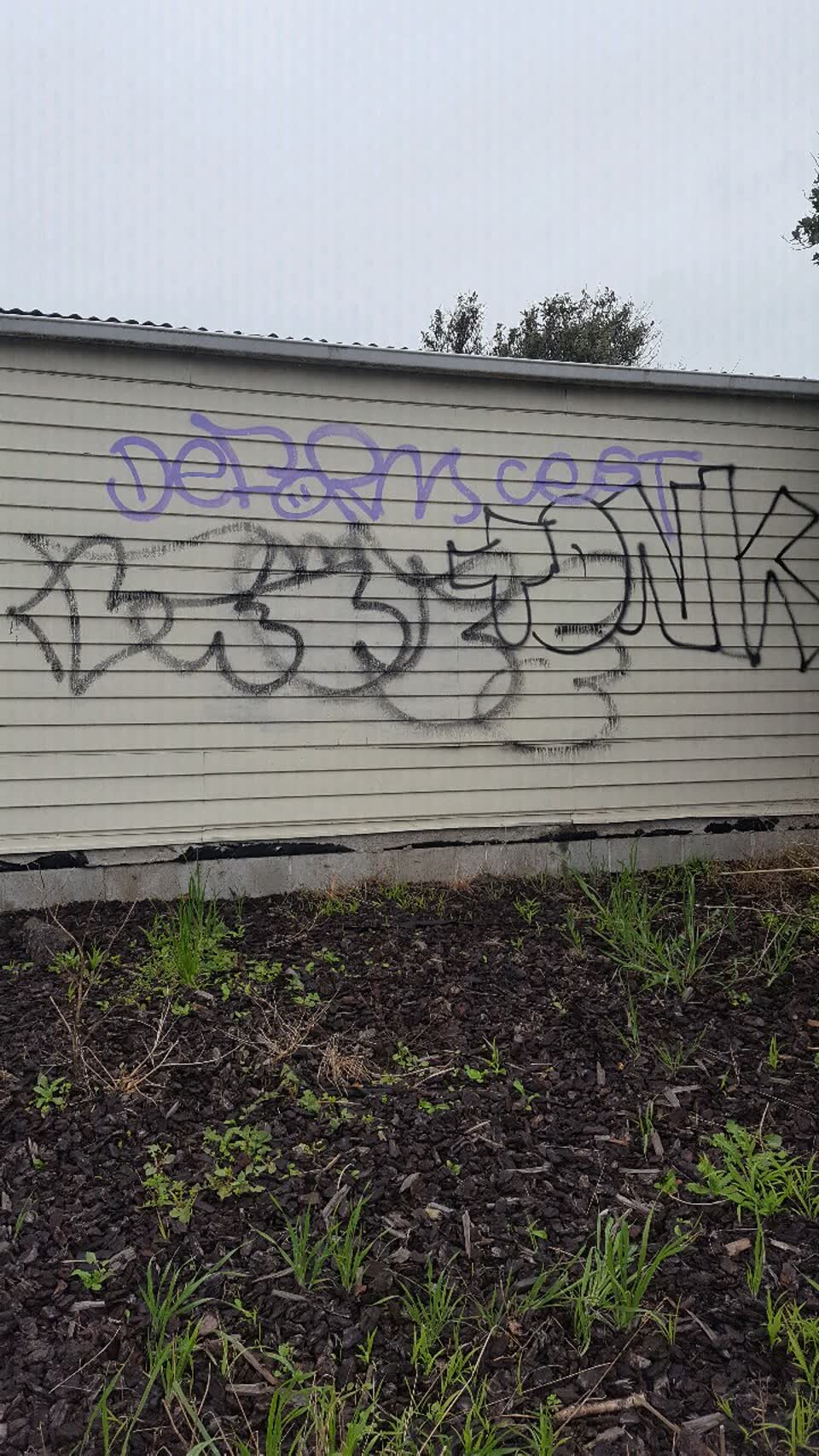 The photograph attached to this graffiti report