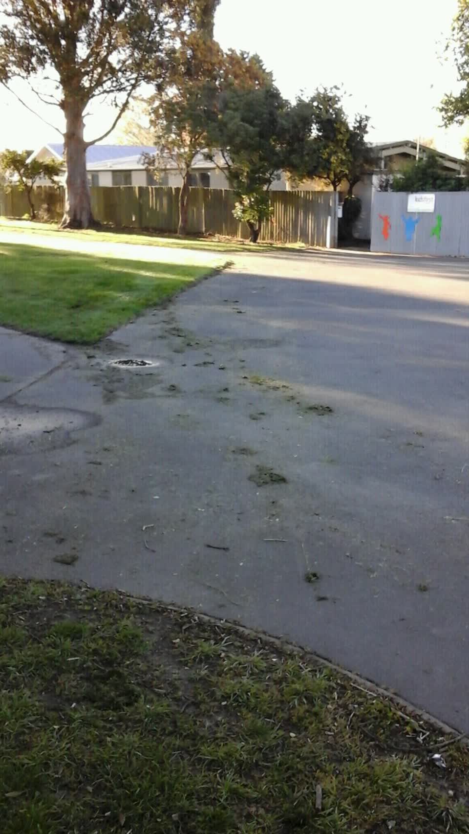 The photograph attached to this parks report
