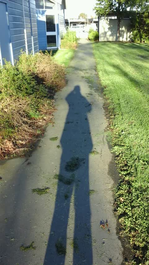 Parks, a report photo