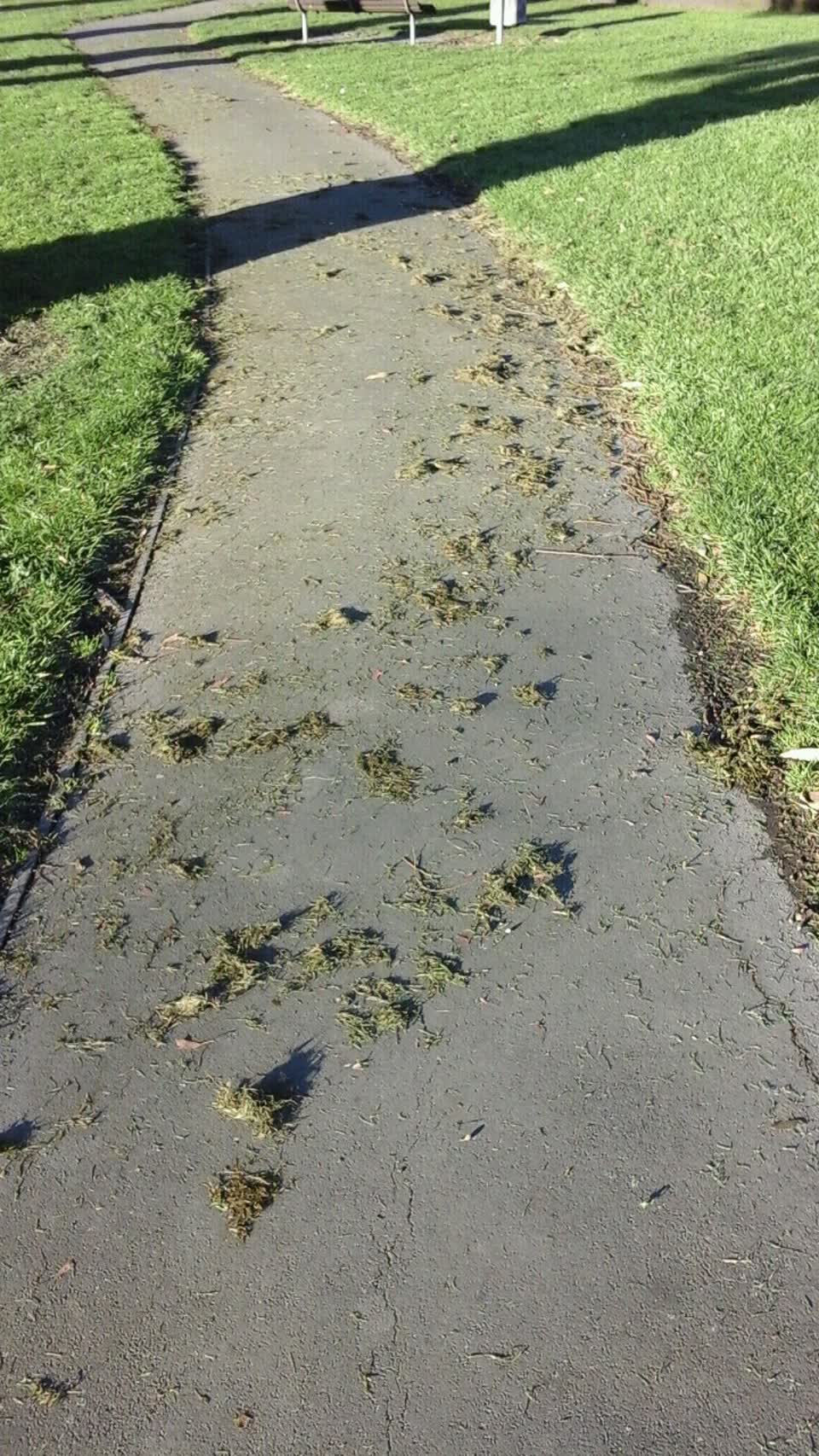 The photograph attached to this parks report