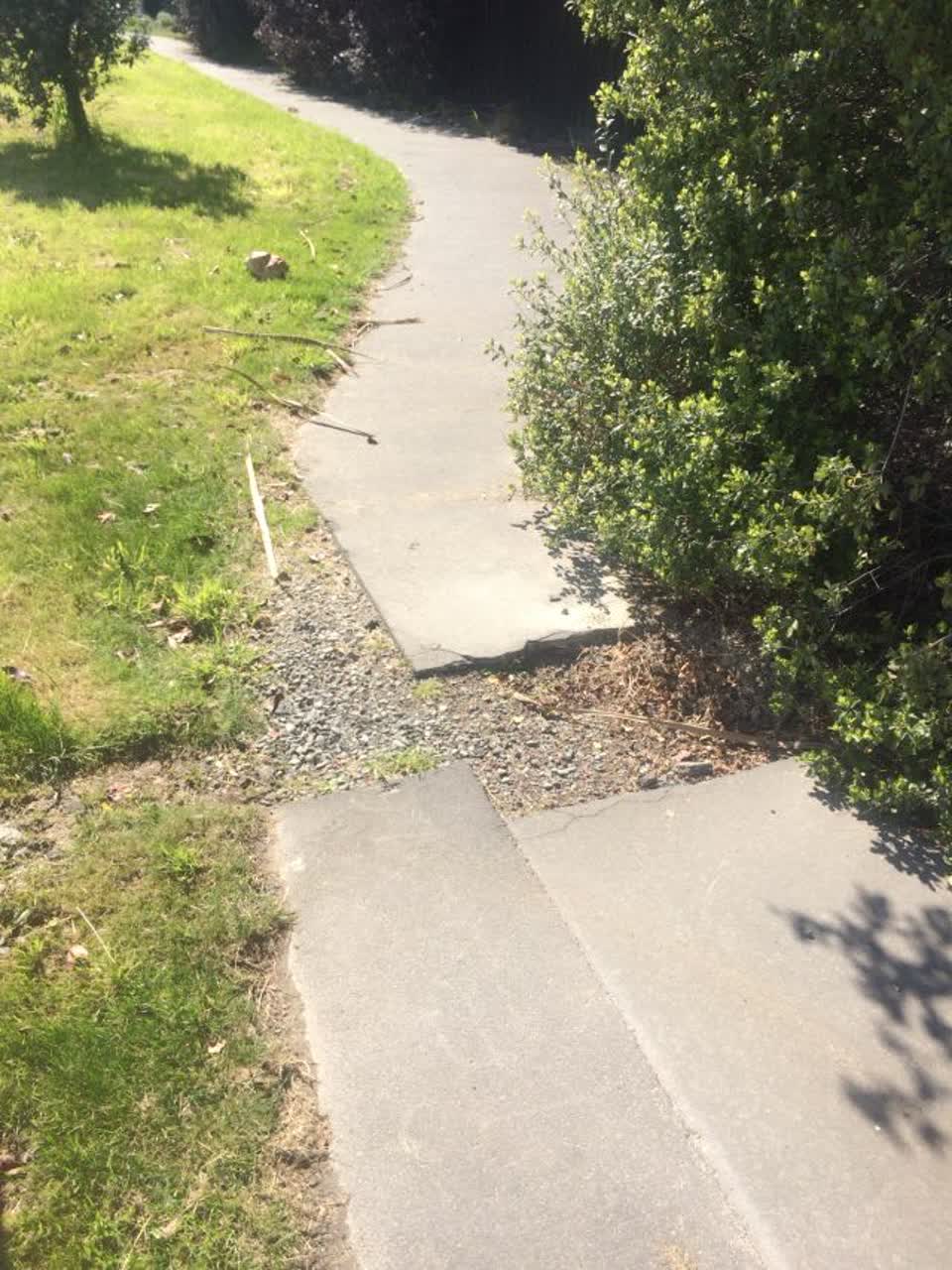 The photograph attached to this parks report