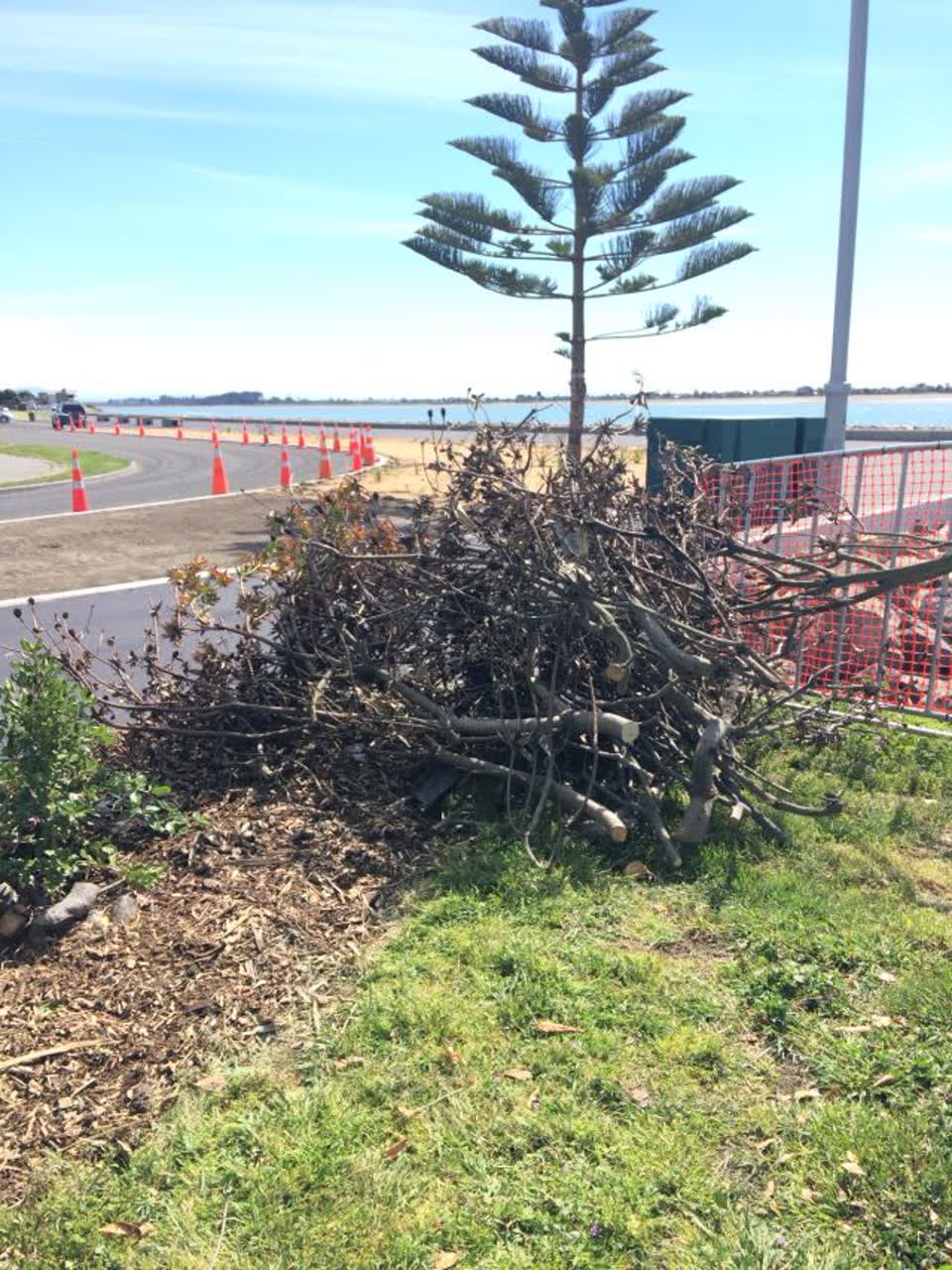 The photograph attached to this parks report
