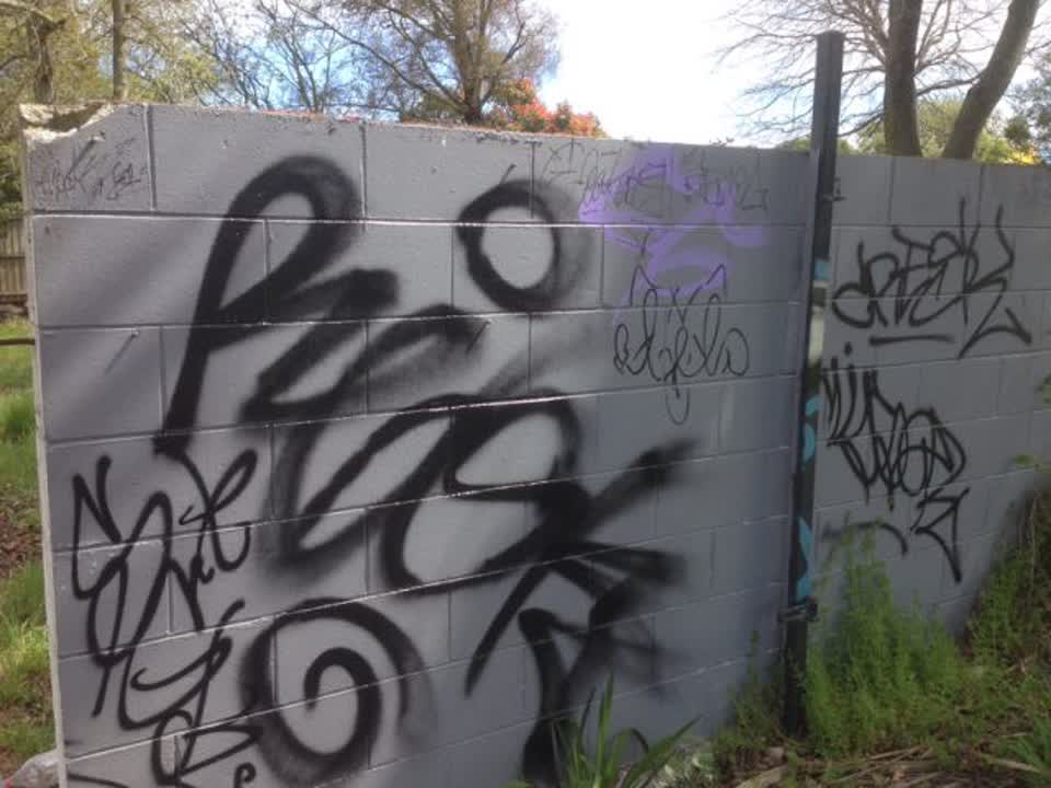 The photograph attached to this graffiti report