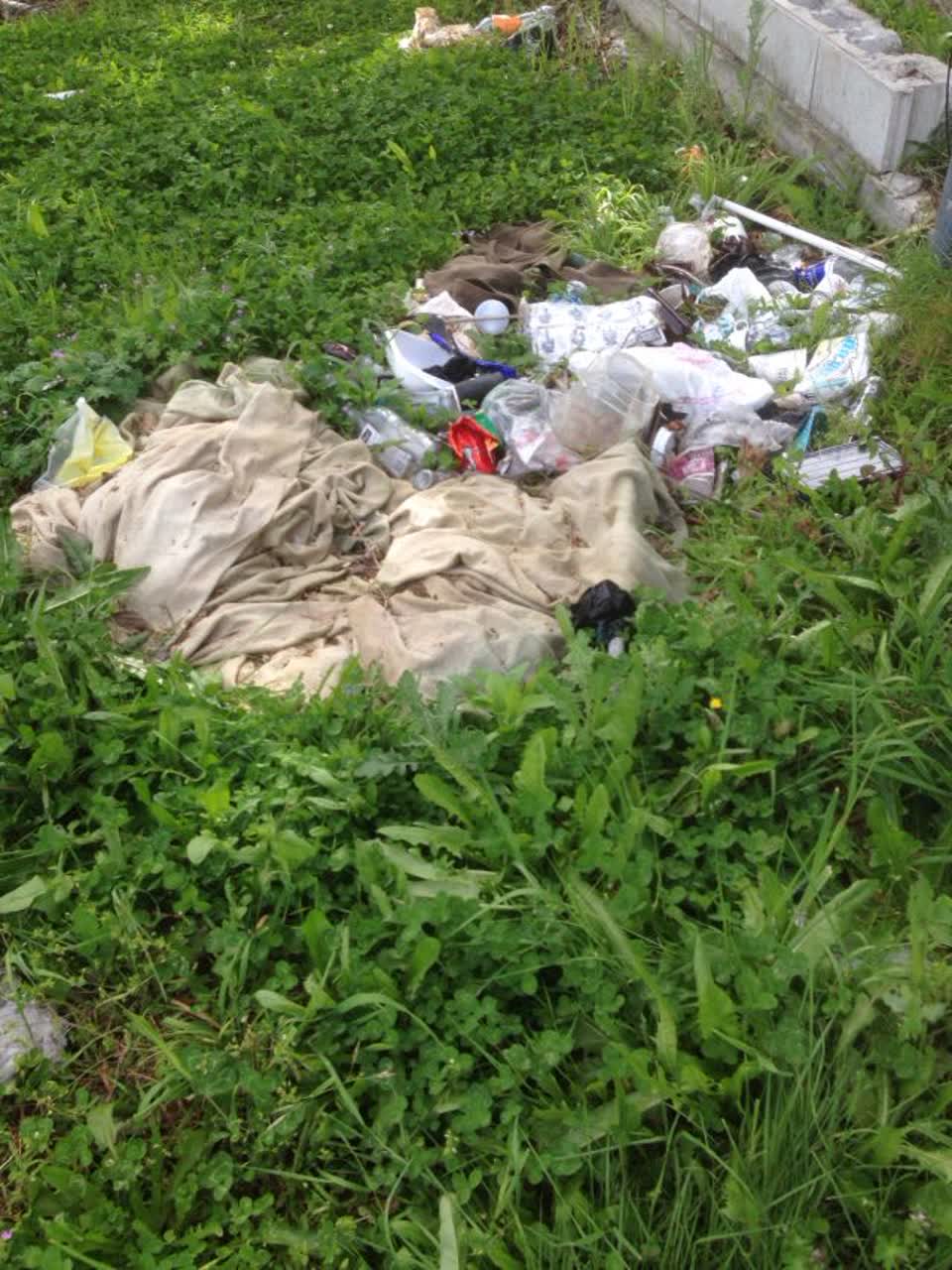 The photograph attached to this rubbish/recycling report