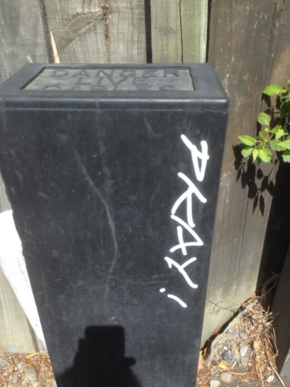 The photograph attached to this graffiti report